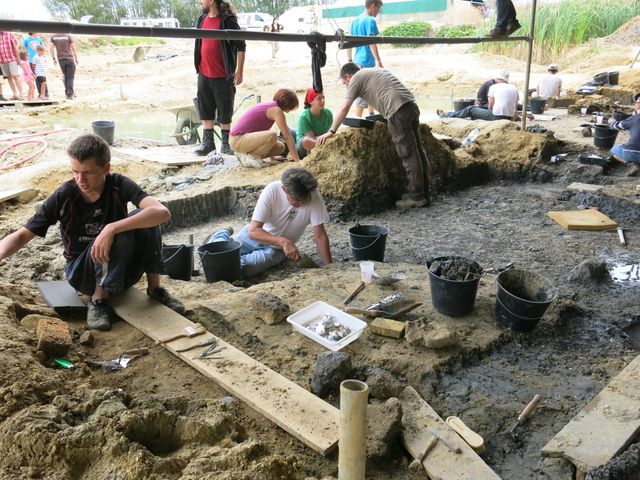 Des ateliers pour faire découvrir aux enfants la paléontologie