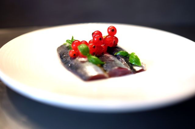 sardine