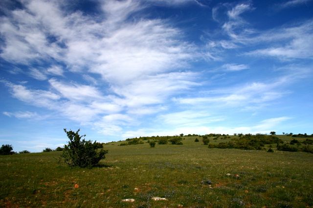 Larzac