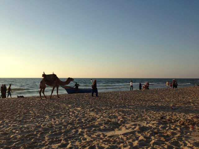 Gaza le soir