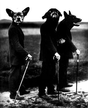 Lâchez les chiens … de Navarre !