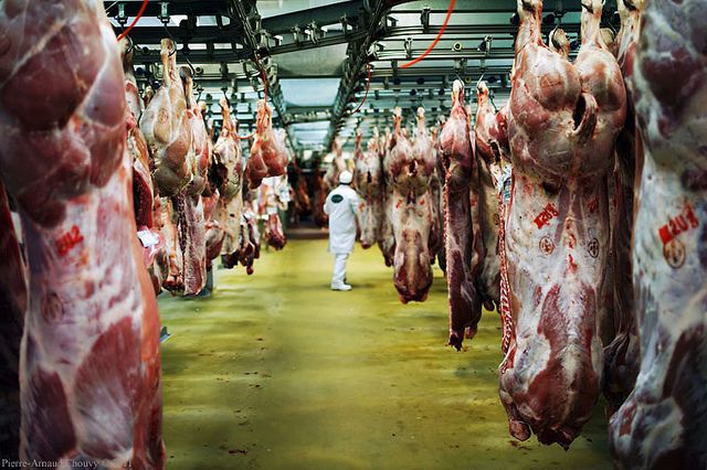 MIN Rungis viandes de boucherie veau