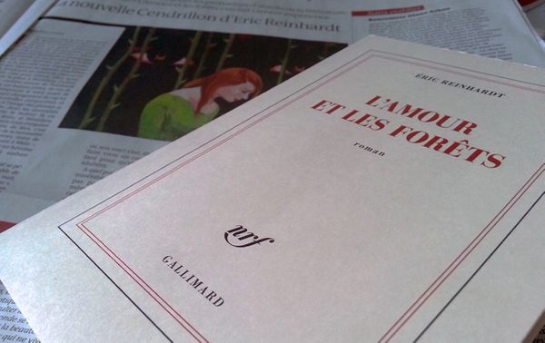 visuel reinhardt livre 603 380