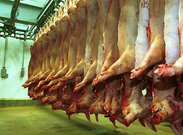 Après les difficultés de son abattoir de Lampaul-Guimiliau, Gad avait recentré son activité sur le site de Josselin.