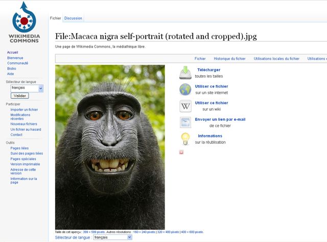 Wikimedia commons refuse de retirer la photo, téléchargeable librement sur Internet (copie d'écran).