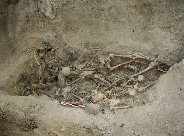 de 5 soldats allemands non identifiés relevés par les archéologues et un anthropologue