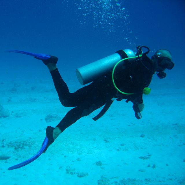 Plongée sous-marine