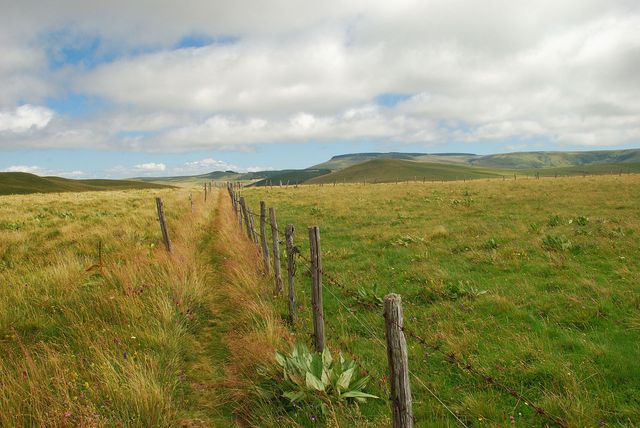 Réserve naturelle nationale des sagnes de La Godivelle