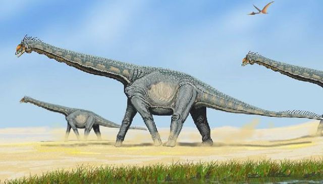 Rukwatitan bisepultus
