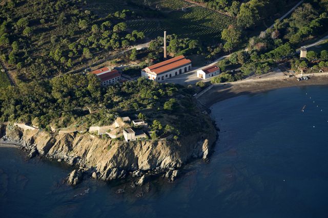Anse de Paulilles