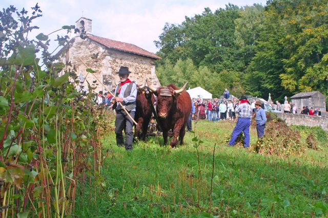 Boisset (Cantal)