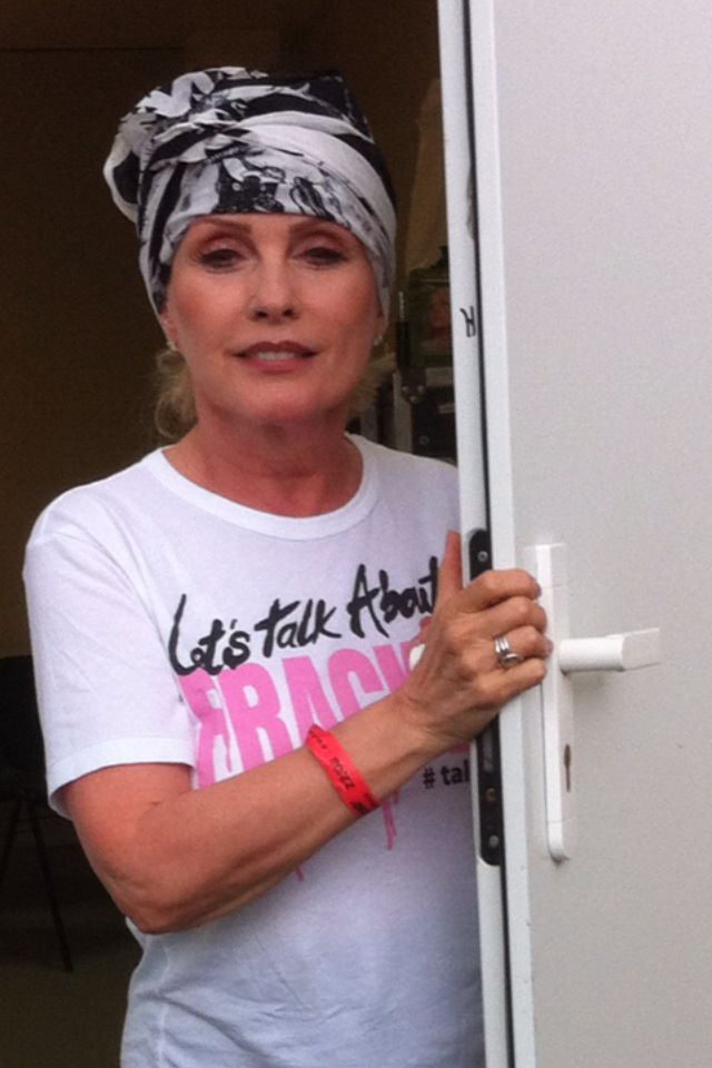 Debbie Harry au Festival Rock en Seine 2014