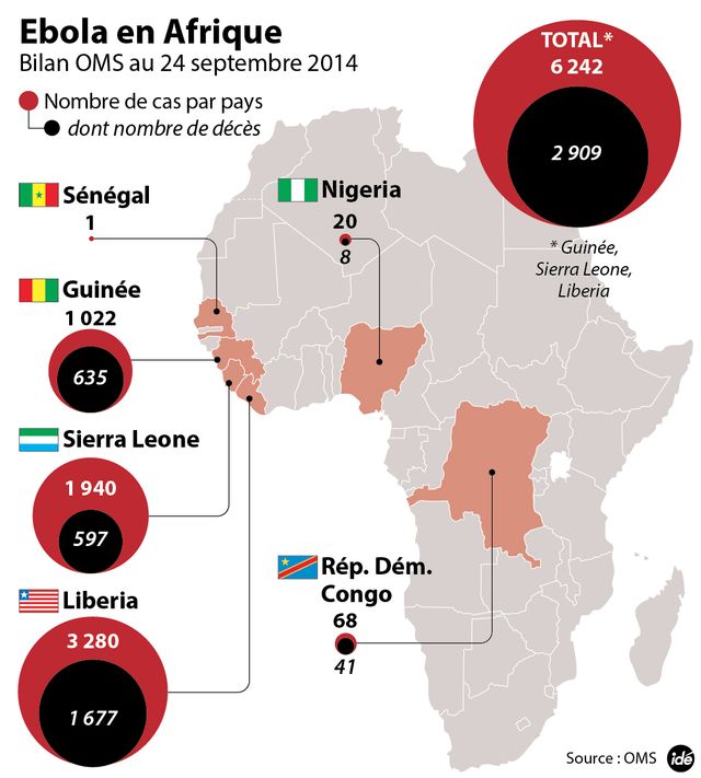 Ebola : le dernier bilan