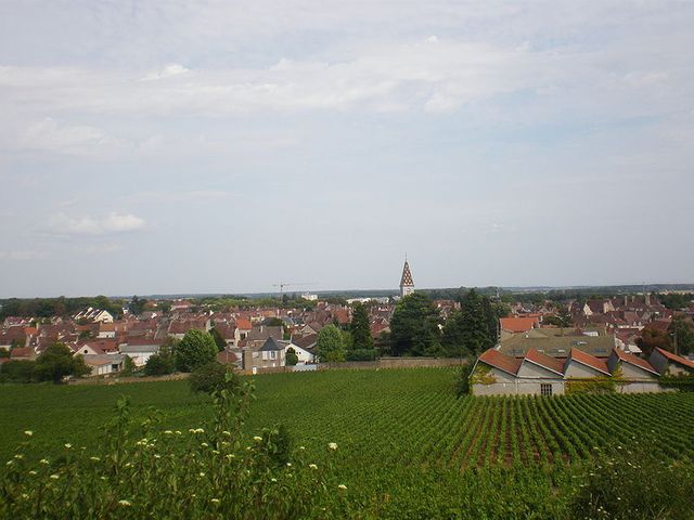Vue de Nuits-Saint-Georges dans une côte