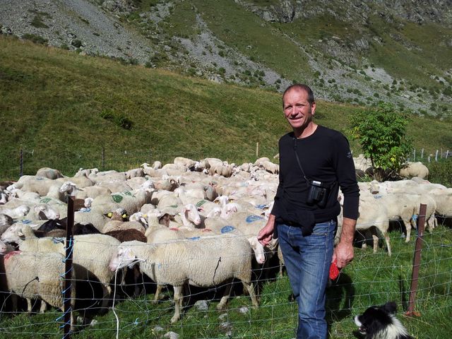 Olivier Bel plaide pour un changement de statut du loup