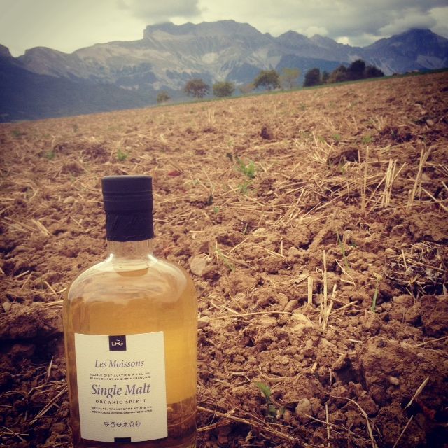 Le whisky peut-il, à la manière du vin, exprimer un terroir ?