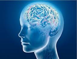 Cerveau et mémoire
