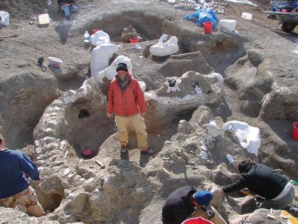 Le Dreadnoughtus Schrani avec le scientifique Kenneth Lacovara