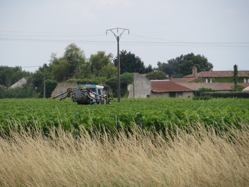Les machines "pieuvres"