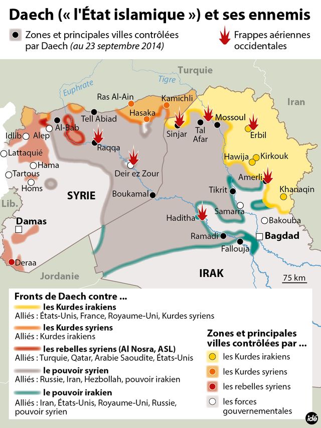 Les fronts et les frappes contre l'Etat islamique