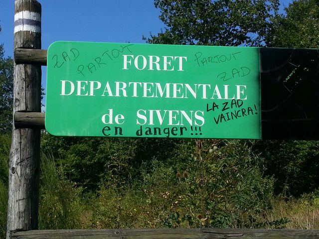 Dans la fôret de Sivens