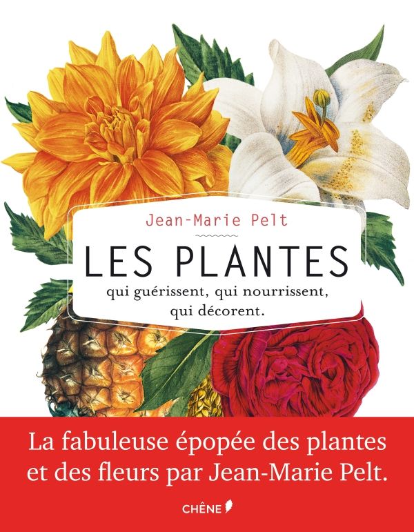 les plantes qui guerissent
