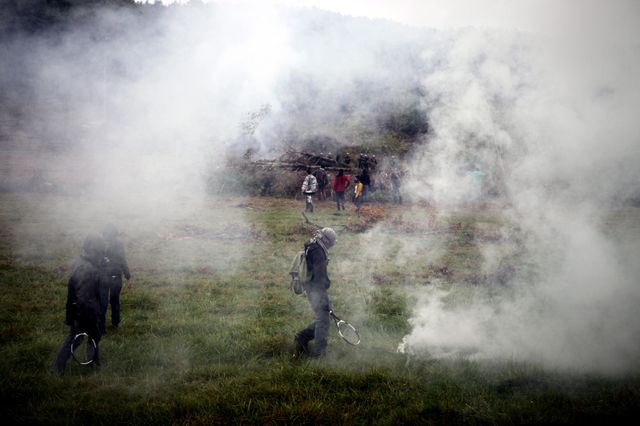 Des affrontements à Sivens en septembre 2014