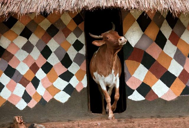 Hans Silvester maison des Bench Ethiopie