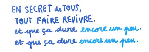 Amélie 6