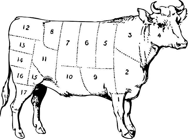 pièces de boeuf