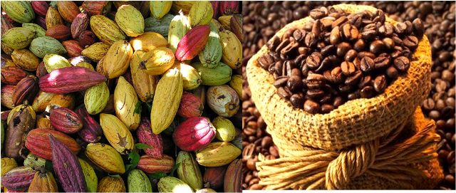 Café-Cacao