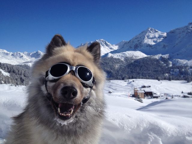 Dans une station de ski suisse, dans le canton des Grisons