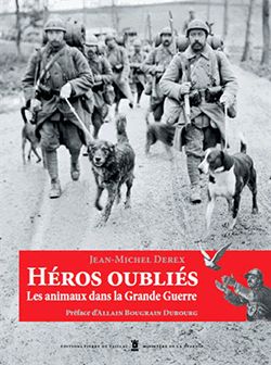 Héros oubliés : 14-18, les animaux dans la Grande Guerre