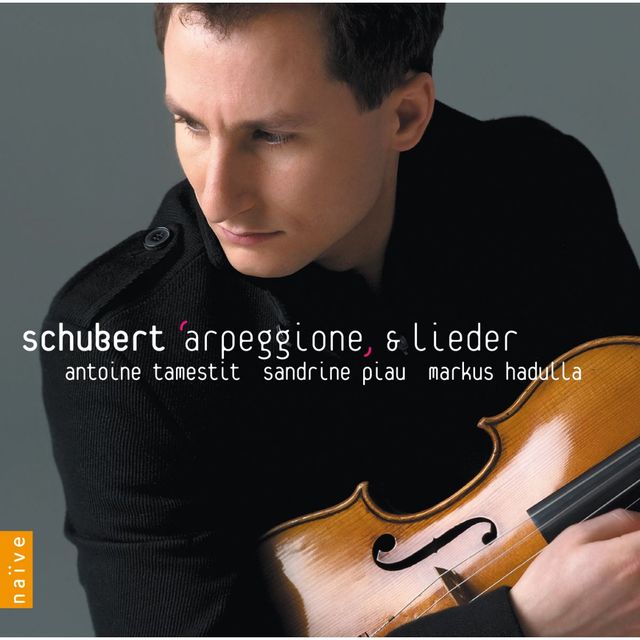 Tamestit-Schubert (2009)