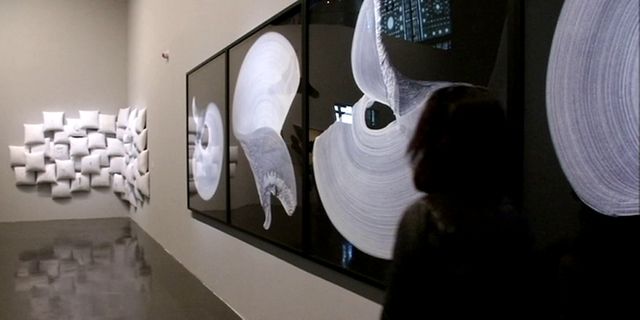 Exposition "Le Maroc Contemporain" à l'IMA / dont l'oeuvre de Safaa Erruas