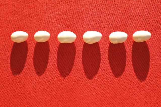 Haricots blancs