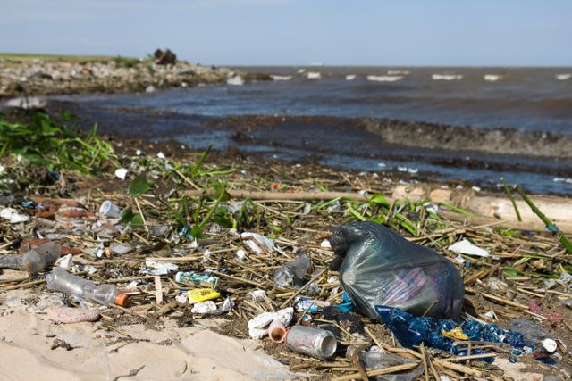 En 10 ans, le nombre de sac à usage unique est passé de 12 milliards à 700 millions