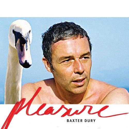 Baxter Dury - It's a pleasure