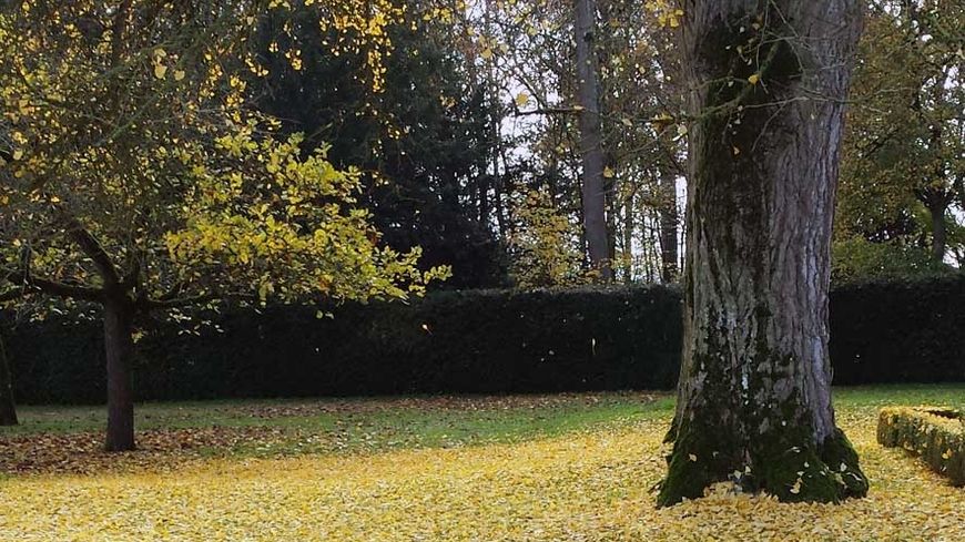 Photo Jean-Yves Patte