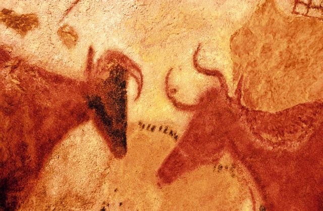 France, Dordogne, Lascaux, peinture dans une grotte représentant les aurochs