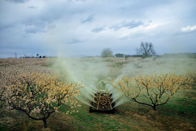 Pesticide vaporisé par un agriculteur