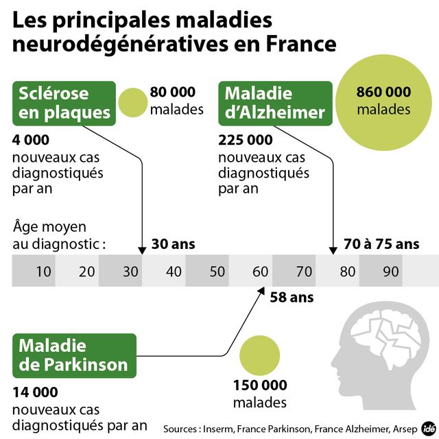 Un plan contre les maladies neurodégénératives