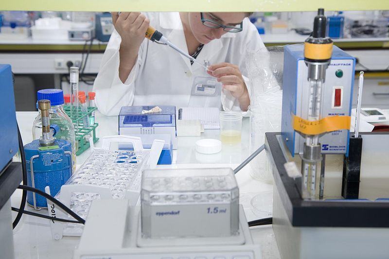 laboratoire de l'école polytechnique