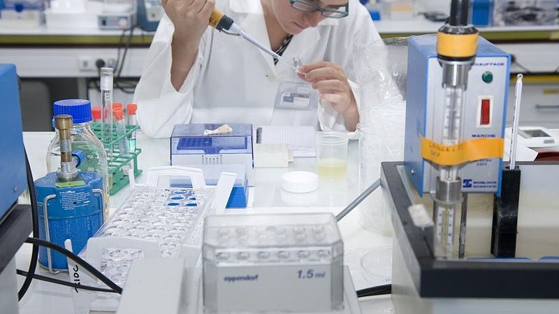 laboratoire de l'école polytechnique
