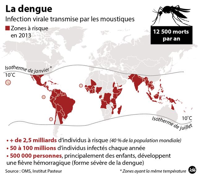 Dengue : les zones à risque