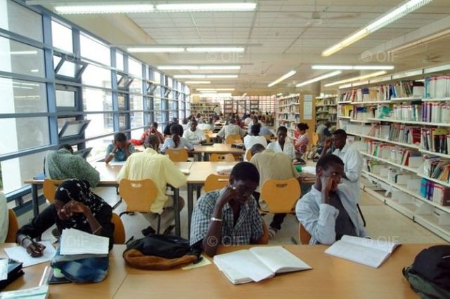 bibliothèque universitaire
