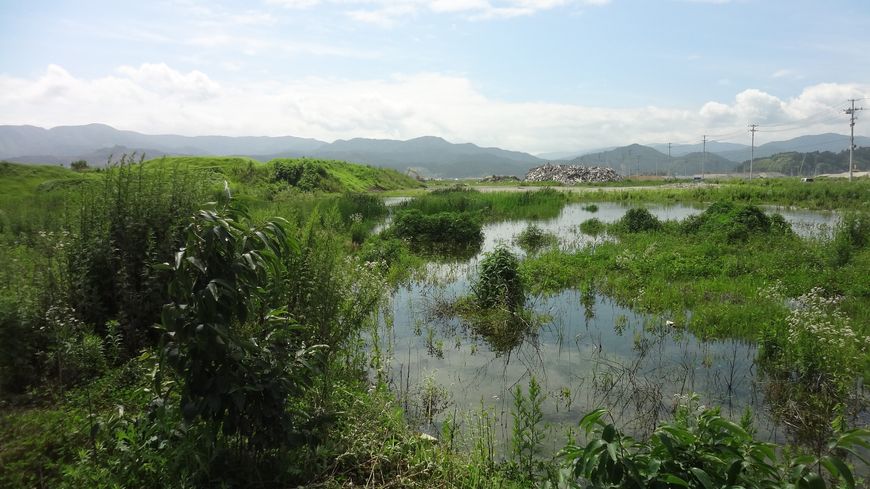 Région de Fukushima, août 2013