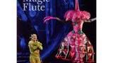 "La flûte enchantée" Mozart - DVD