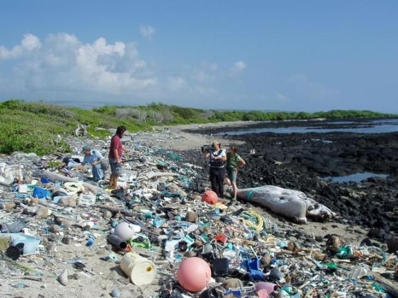 pollution plastique sur la plage de Kamilo, Hawaï