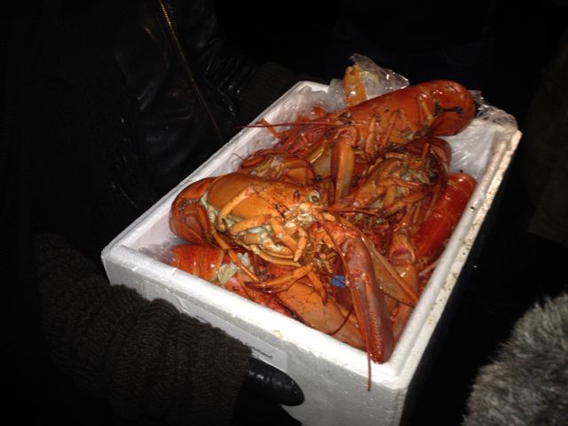 Homard trouvé dans les poubelles cette nuit là